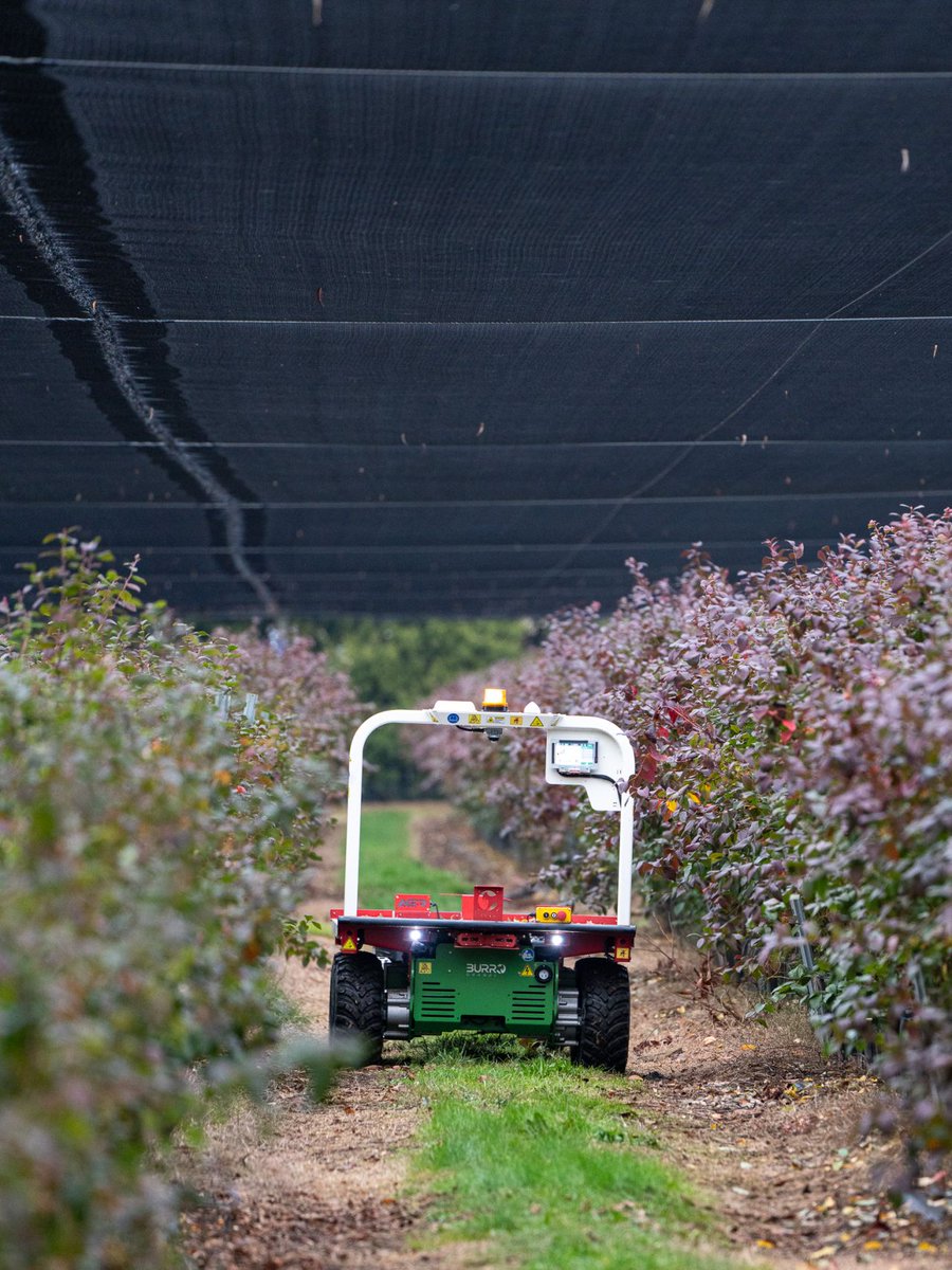 Burro Grande on the move in Victoria 🇦🇺

From nurseries to berry farms, we're amplifying workflows and reducing labor with smart, rugged autonomy 🦾

#BurroGrande #AgTech #Workforce #SmartFarming #InTheField