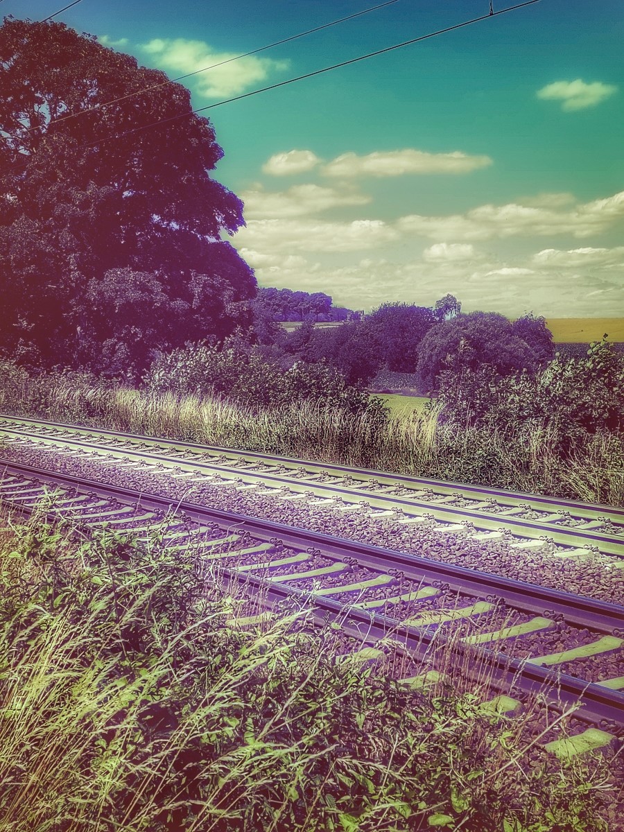 Dirk Schulte
Die Reise in den Sommer
2025