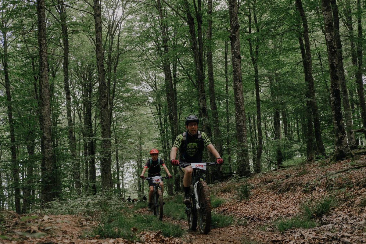 Visit Navarra tweet media