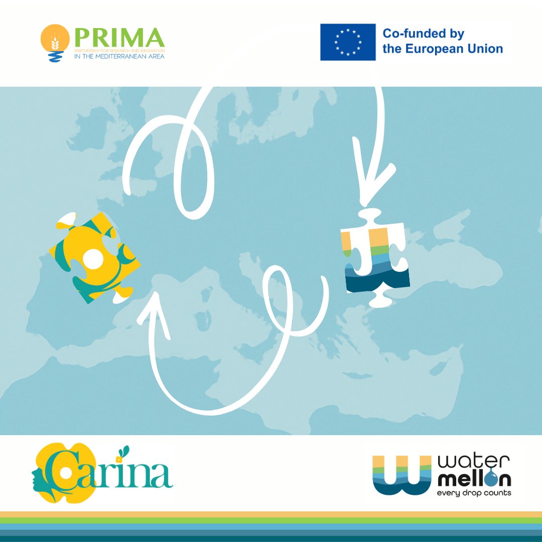 watermellon_primaproject (@watermellon_pr) on Twitter photo Two EU-funded projects, 👉one mission:
🌱 Resilient, sustainable & profitable agriculture for Europe & the Mediterranean.
💧 #Water #harvesting #Climate #resilient #crops
<a href="/CARINA_Project/">CARINA project</a>
<a href="/PrimaProgram/">PRIMA Program Mediterranean Partnership 🇪🇺</a>
<a href="/eucapnetwork/">EU CAP Network</a>
<a href="/CoopsAgroES/">Cooperativas Agro-alimentarias de España</a>
<a href="/Unibo/">Università di Bologna</a>
<a href="/ICARDA/">ICARDA</a> Two EU-funded projects, 👉one mission:
🌱 Resilient, sustainable & profitable agriculture for Europe & the Mediterranean.
💧 #Water #harvesting #Climate #resilient #crops
<a href="/CARINA_Project/">CARINA project</a>
<a href="/PrimaProgram/">PRIMA Program Mediterranean Partnership 🇪🇺</a>
<a href="/eucapnetwork/">EU CAP Network</a>
<a href="/CoopsAgroES/">Cooperativas Agro-alimentarias de España</a>
<a href="/Unibo/">Università di Bologna</a>
<a href="/ICARDA/">ICARDA</a>