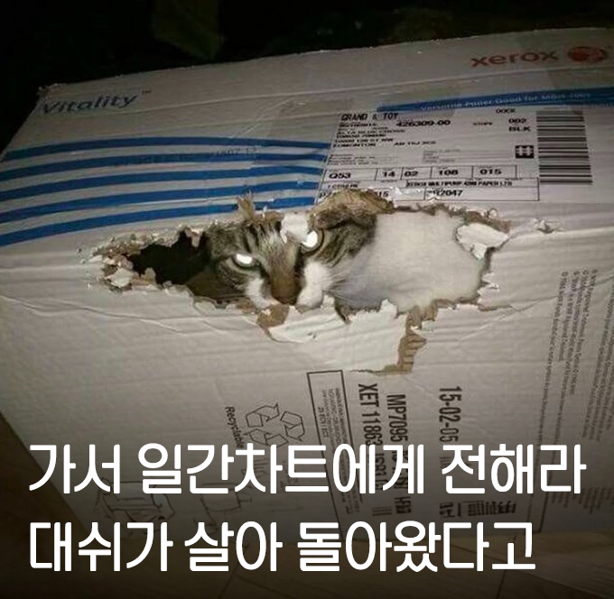 📦🐈 "가서..아무튼..전해라.."

x.com/Plave_Stream/s…
↑ 총공 참여하실 분들은 안내 읽어주세요!

#PLAVE #플레이브