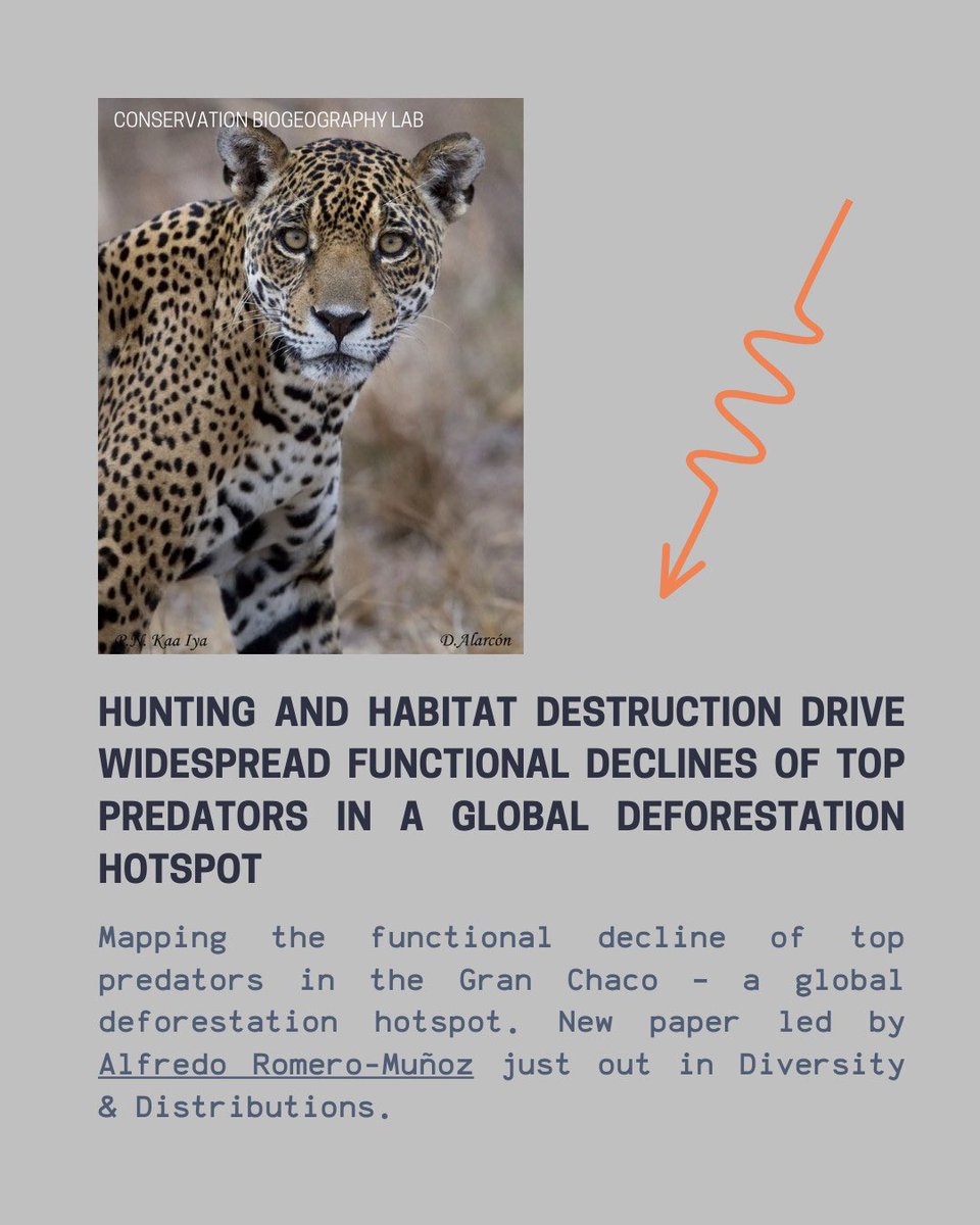 consbiog's tweet image. New paper published in our journal! 📰
Check this out:
doi.org/10.1111/ddi.70…