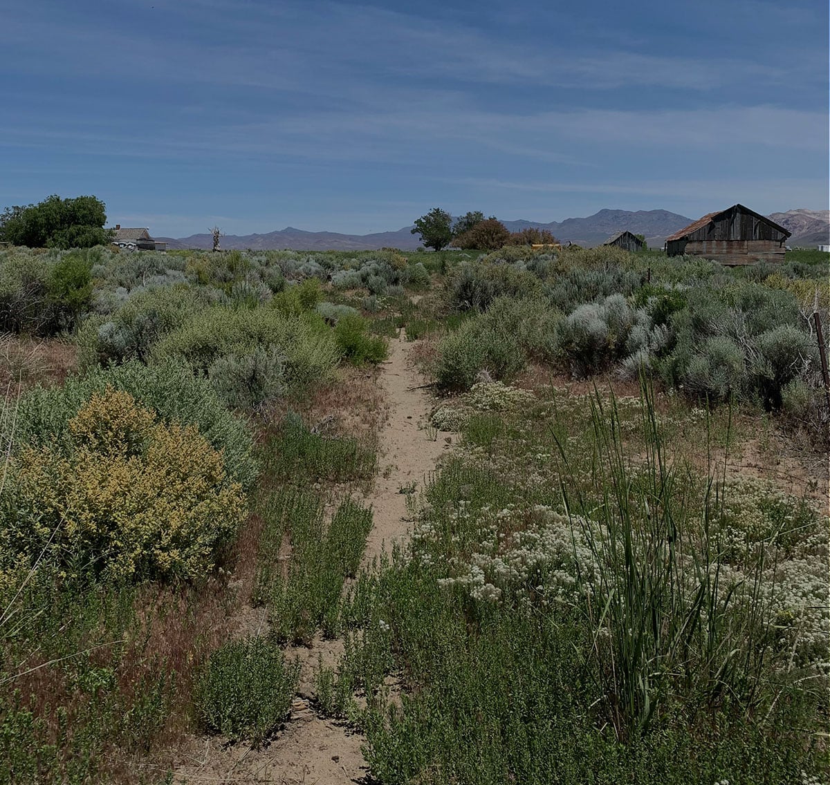 CompeteList's tweet image. Land Art Generator and Burning Man 2020: Design the Future of Fly Ranch #CompetitionList  #Architecture  #Design  #Competition