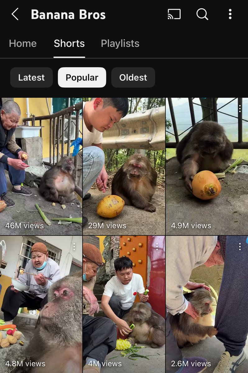 redactedpat's tweet image. Just trolling YouTube for Xing Xing videos and come across another prime example of Xing Xing’s long lasting popularity.

New YouTube account with 100m+ views in three months time posting Xing Xing videos.

$XING is multi-platform.

$XING is multi-cultural.
 
$XING is forever.