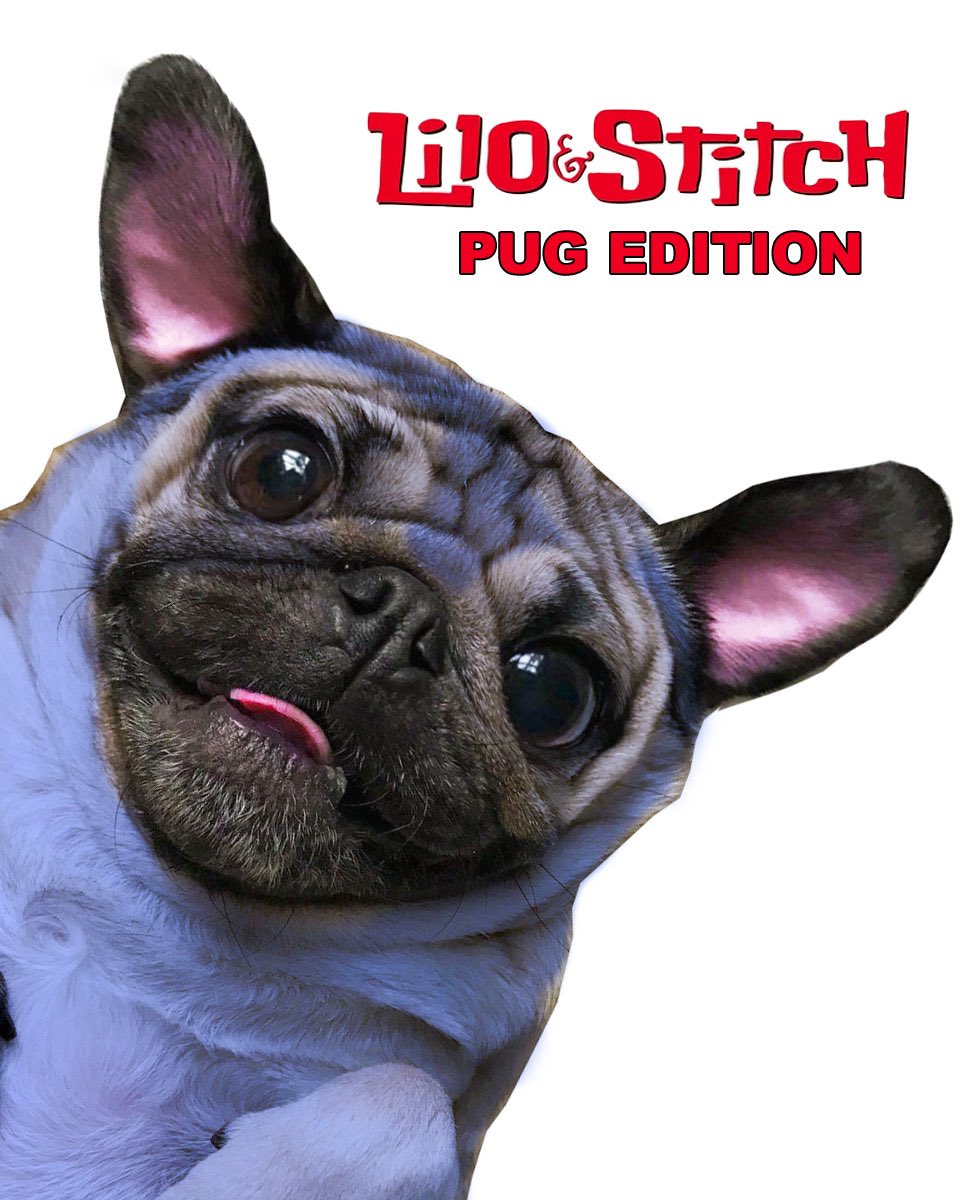 Lilo &amp; Stitch - Pug Edition 🌺