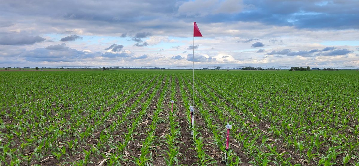 🌱 Celebrating a New Growing Season in the Midwest! For almost a decade, we've proudly stood alongside our Midwest growers—trusted through every season. Our dedicated team of technicians and experts ensures you have all the support needed to maximize every drop and every acre.