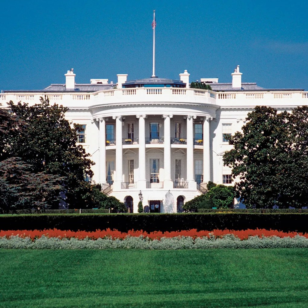 Whale Insider tweet media