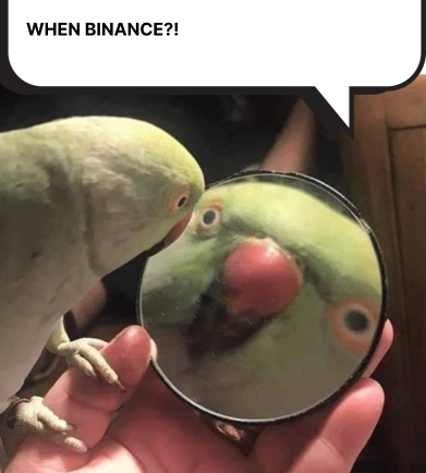 $MIRKO 🦜
Bonding soon on <a href="/pumpdotfun/">pump.fun</a>
Meme. Magic. Mayhem.
 mirko.fun
 t.me/mirkosolana
x <a href="/whoisMIRKO/">MIRKO</a> 
CA: 4ZzK876Sq8z4ZhYw1Pabcs4tUjwttqgavKV2Xh4Wpump