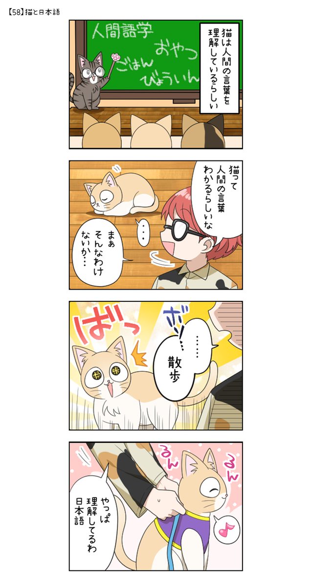ฅ*【58】猫と日本語 *ฅ* #にゃん生 #猫あるある #あつしchannel #猫 #4