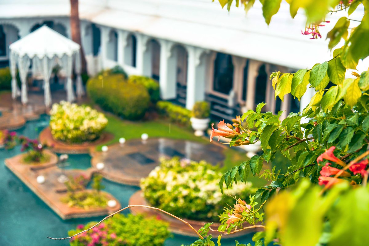 tajlakepalace tweet media