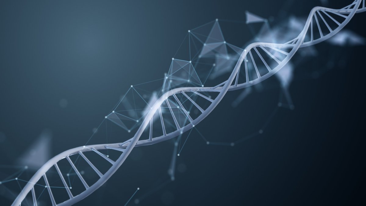 Wellcome Sanger Institute (@sangerinstitute) on Twitter photo Alongside <a href="/Nuffbioethics/">Nuffield Council on Bioethics (NCOB)</a> and other partners, we are working to create a new genomics ethics network to support knowledge sharing and resource development.🧬
We are looking forward to joining the effort to strengthen ethical standards.
Read more here: bit.ly/43SsAKI Alongside <a href="/Nuffbioethics/">Nuffield Council on Bioethics (NCOB)</a> and other partners, we are working to create a new genomics ethics network to support knowledge sharing and resource development.🧬
We are looking forward to joining the effort to strengthen ethical standards.
Read more here: bit.ly/43SsAKI