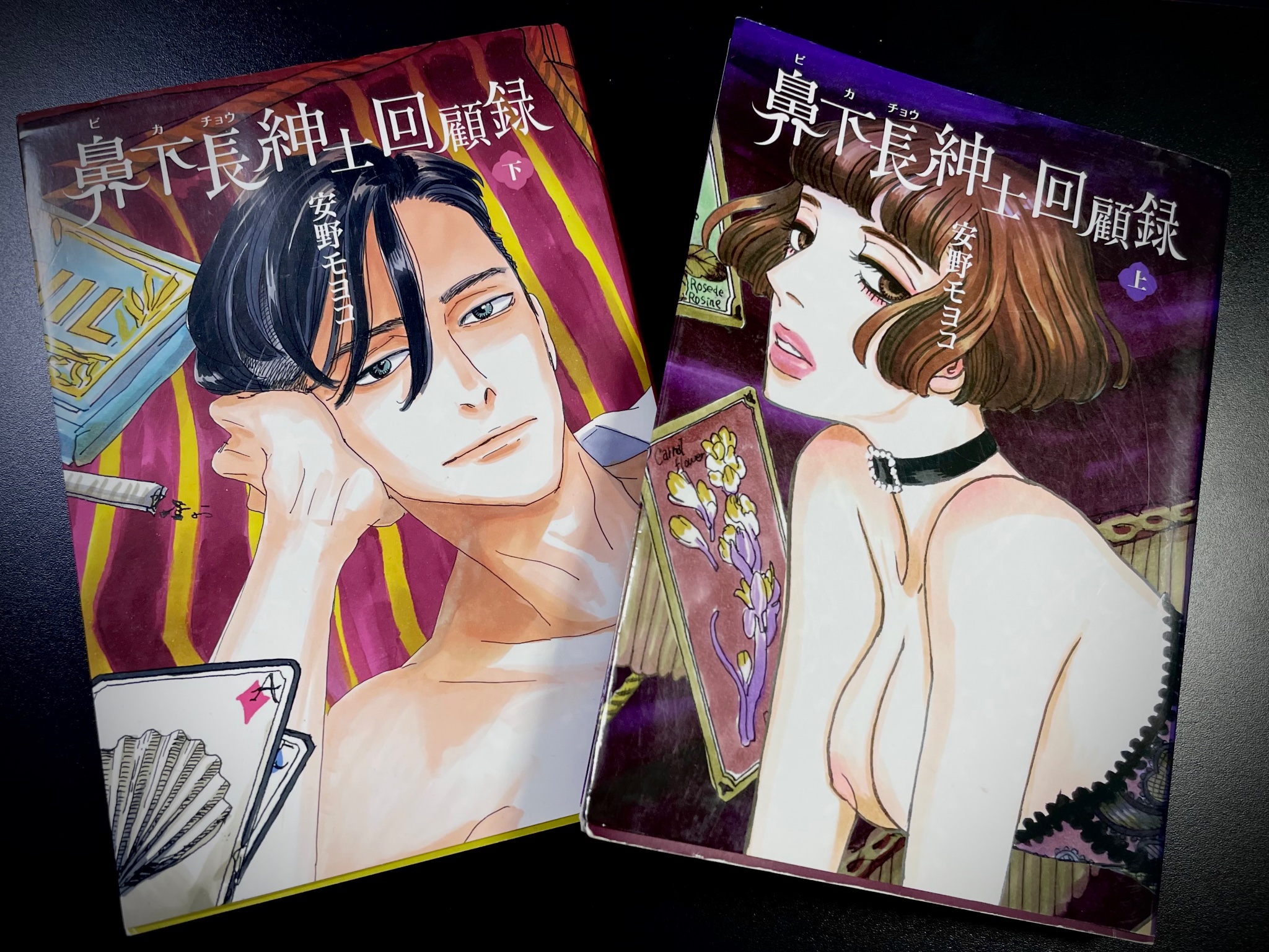 Amazon.co.jp: 鼻下長紳士回顧録 (上)(下)巻セット : 安野モヨコ: 本