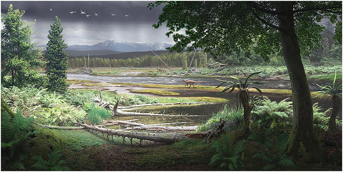 CGoisMarques's tweet image. Full article: Cool-temperate riparian floras in the Early Cretaceous rift valley of Victoria, Australia tandfonline.com/doi/full/10.10…