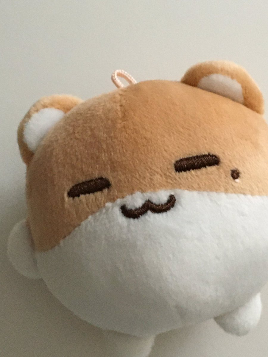 와와 tweet media
