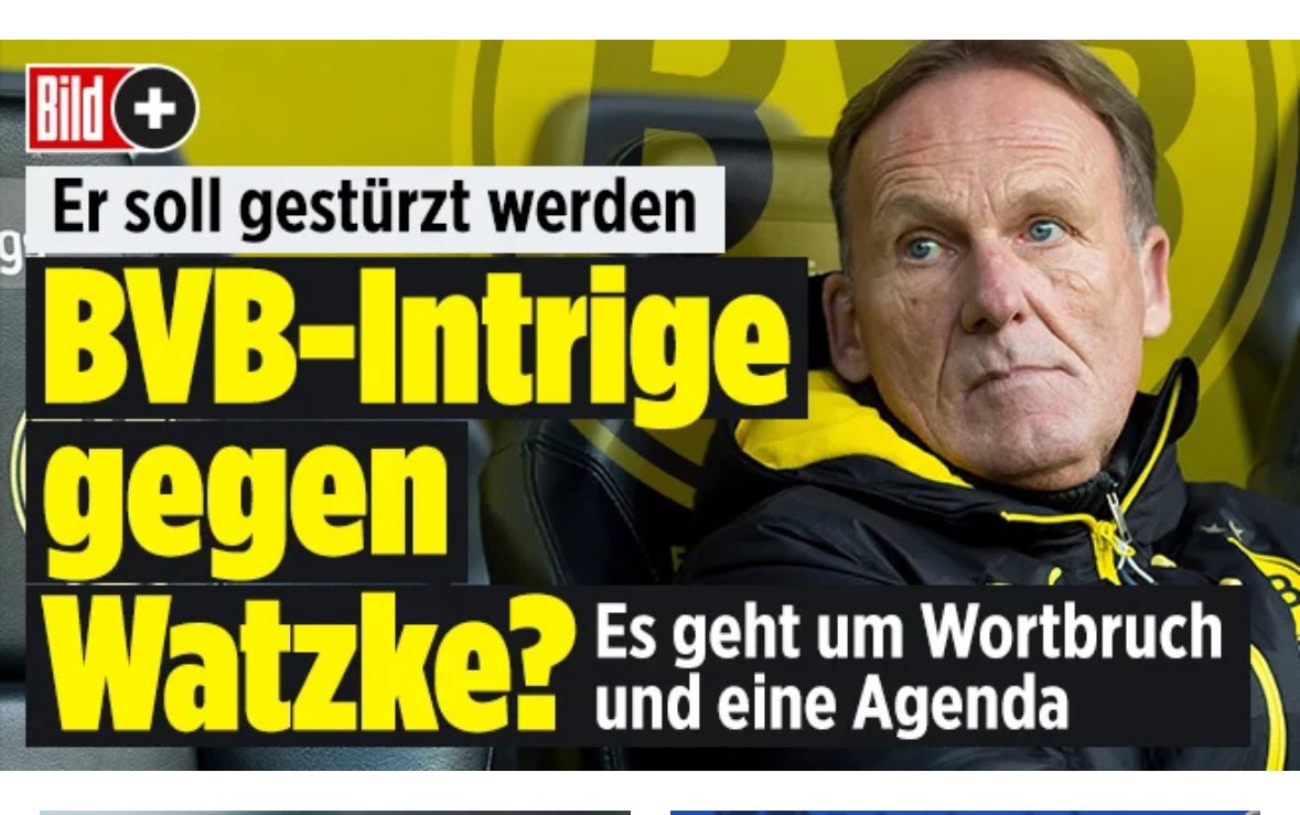 Peter Flore tweet media