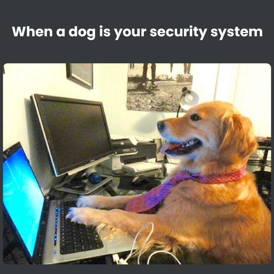 doosmarthomes's tweet photo. A dog is not enough, you deserve an upgrade.
#meme #homesecurity https://t.co/fDz1gKS6gD