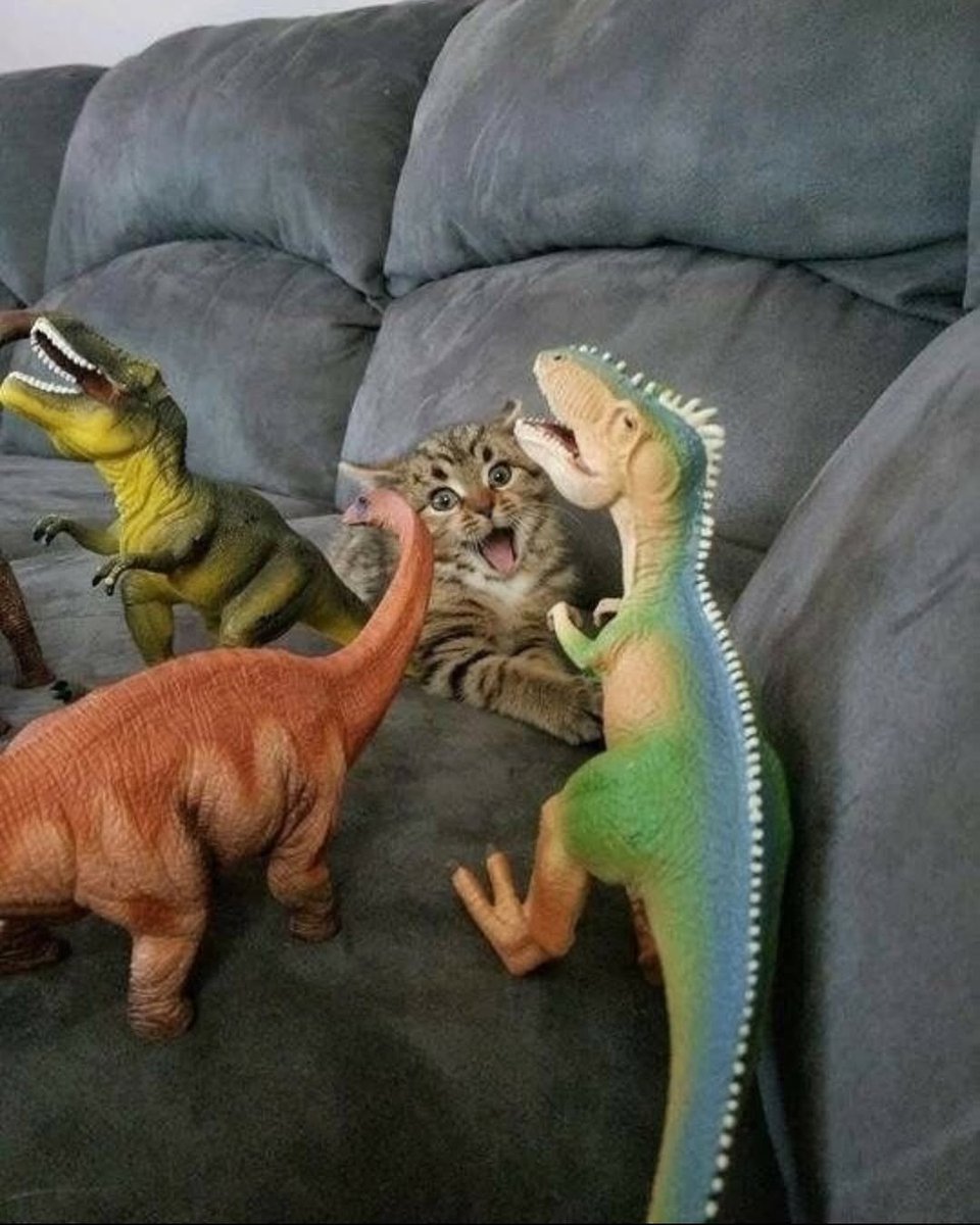 Catsillyness's tweet image. Loves dinosaurs!! 🦖