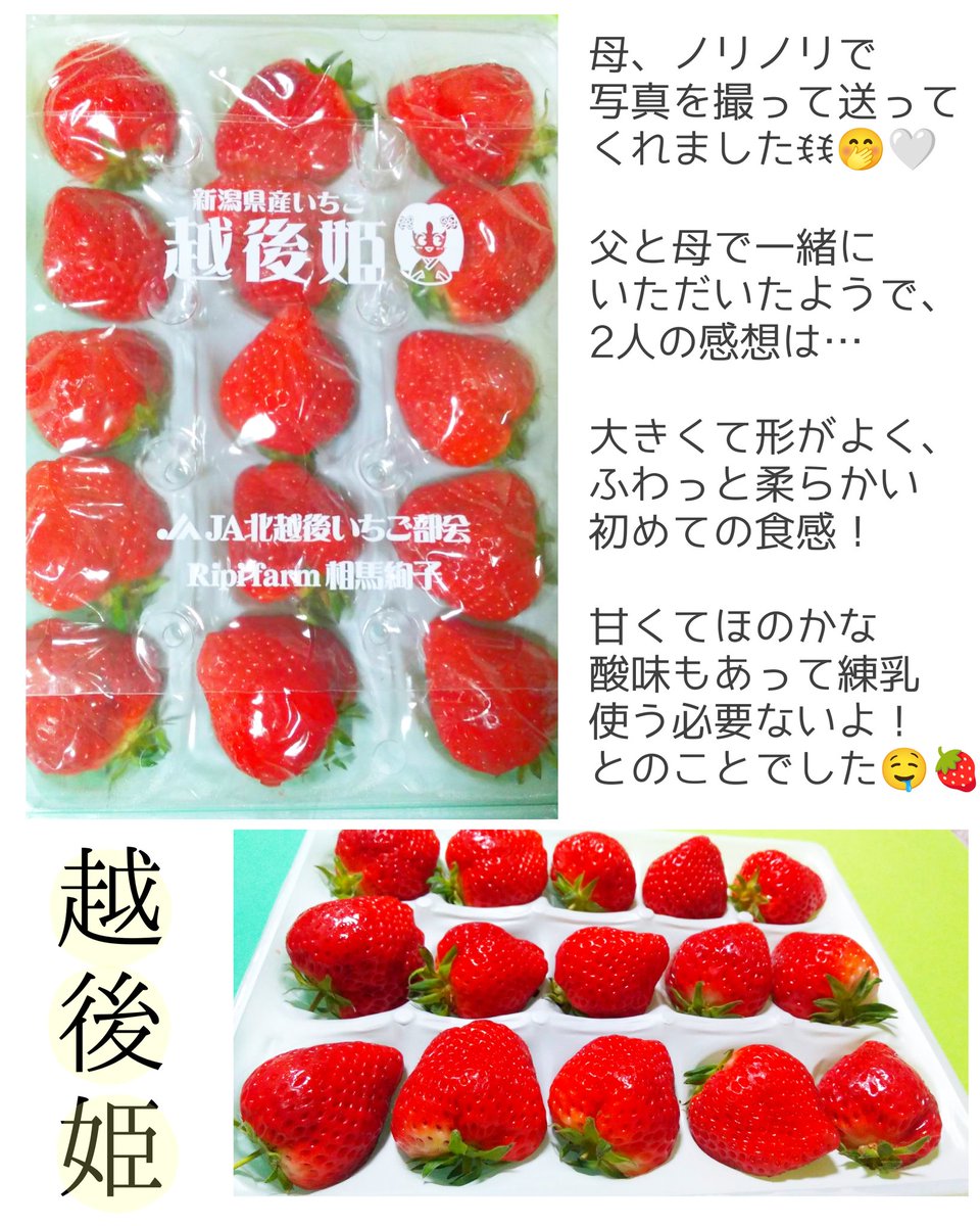 越後姫｜新潟県推進ブランド品目｜公式｜新潟生まれ新潟そだち
( <a href="/echigohime_ngt/">越後姫 ⎹ 新潟県推進ブランド品目 ⎹ 公式 ⎹ 新潟生まれ新潟そだち⎹</a>  ) 様より

#母に贈る越後姫キャンペーン にて

越後姫 頂きました 🍓𓂃.◌𓈒𖡼

母に伝えずｻﾌﾟﾗｲｽﾞで越後姫が届き
嬉しびっくりだったそう( ˶ˆ꒳ˆ˵ )ﾑﾌ

母と娘どちらも幸福感溢れる
素敵ℂℙに感謝です🙇🏻‍♀️🤍