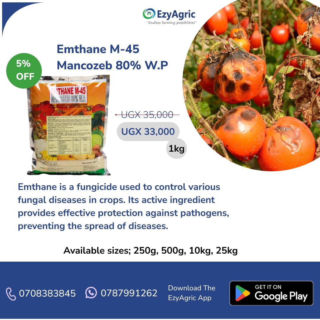 Emthane M-45 (Mancozeb 80% W.P) – Now at 5% OFF!
Protect your crops from fungal diseases the smart way 🌿
📦 Available sizes: 250g, 500g, 1kg, 10kg, 25kg

📲 Order on the EzyAgric App or call 0708383845 / 0787991262
#Farming #AgroDeals #CropProtection #EzyAgric