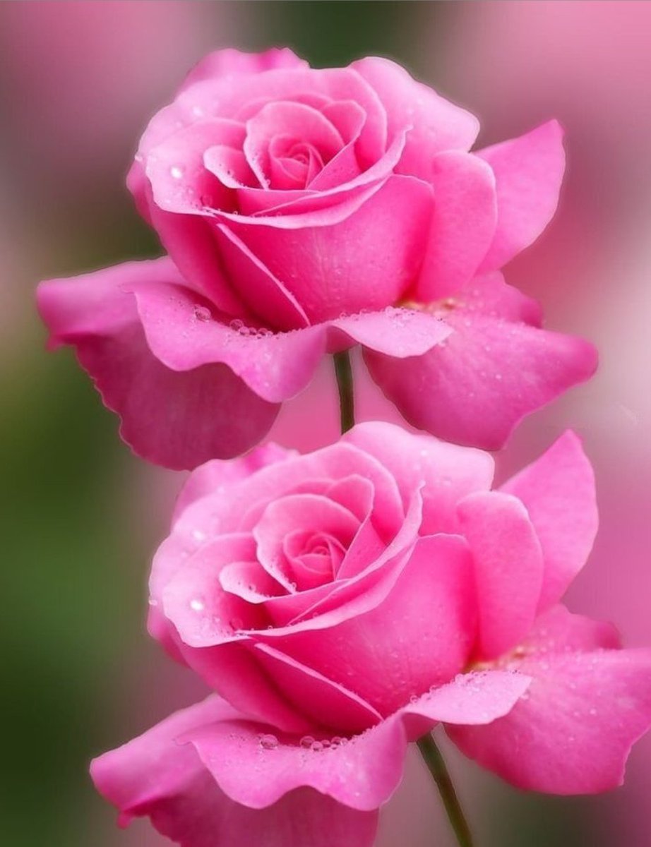 zahoor ahmed (@zahoorap1) on Twitter photo 🌹#EliFriends
#KaraAmbargroup
<a href="/Jasmine02727806/">🌼 ᒎ ᗩ ᔕ ᙢ ᓰ Ɲ ᕮ2🌼</a>
<a href="/Spencerjames211/">Spencer James #GAINWITHPETAL #TMPETAL #Teamspirit</a>
<a href="/GRAHAM15583/">🅶🆁🅰🅷🅰🅼</a>
<a href="/RobertPage68/">#EliFriends 👉Robert👈</a>
<a href="/MarcelaErcia/">🕉MARCE🐉⚖ #MarceTeAyuda🔮#MarceLive🔄 Meme y Popi</a>
<a href="/florchicana/">Selene 𝕏🖤Perfectly imperfect 🖤❌DM❌</a>
<a href="/Sinan256as/">A.Sevinç</a>
<a href="/DyelQueM/">🌤🫧☆◉ᴅʸᵉˡǫᵘᵉⁿ◉☆•🫧🌤</a>
<a href="/Ayhan_525/">♔ (͡° ͜ʖ ͡°) AʏʜᴀɴSᴇᴠɪɴᴄ (͡° ͜ʖ ͡°) ♔</a>
<a href="/Sude0028/">✿Naz ♥‿♥✿</a>
<a href="/Ldovyka/">✧⃝🇧🇷᯾༄🍃𝑙𝑢𝑑𝑜𝑣𝑦𝑘𝑎🍃 ᯾༄✧⃝🇧🇷</a>
<a href="/PskDilek/">Dilek 🌊🍃</a>
<a href="/SsaSM7/">🎶سوسو 🎶</a>
<a href="/Da__Eliz/">Eli👸</a>👑
<a href="/x4Eileen/">Eileen Bridget🌸</a>
<a href="/Saori__M/">ღƪ(ˆ◡ˆ)ʃ♡ℳДƦîƝ இ️ ♡</a>
<a href="/sungelin/">Sarı gelin</a>
<a href="/SsaSM7/">🎶سوسو 🎶</a>
<a href="/_Glen72/">Gülen</a>
<a href="/_MaryEly_/">💛 𑜞᭄ MaryEly🌻</a>
<a href="/Sdf27242/">🐬🐨🔃💧 saad</a>
<a href="/zahoorap1/">zahoor ahmed</a> 🌹#EliFriends
#KaraAmbargroup
<a href="/Jasmine02727806/">🌼 ᒎ ᗩ ᔕ ᙢ ᓰ Ɲ ᕮ2🌼</a>
<a href="/Spencerjames211/">Spencer James #GAINWITHPETAL #TMPETAL #Teamspirit</a>
<a href="/GRAHAM15583/">🅶🆁🅰🅷🅰🅼</a>
<a href="/RobertPage68/">#EliFriends 👉Robert👈</a>
<a href="/MarcelaErcia/">🕉MARCE🐉⚖ #MarceTeAyuda🔮#MarceLive🔄 Meme y Popi</a>
<a href="/florchicana/">Selene 𝕏🖤Perfectly imperfect 🖤❌DM❌</a>
<a href="/Sinan256as/">A.Sevinç</a>
<a href="/DyelQueM/">🌤🫧☆◉ᴅʸᵉˡǫᵘᵉⁿ◉☆•🫧🌤</a>
<a href="/Ayhan_525/">♔ (͡° ͜ʖ ͡°) AʏʜᴀɴSᴇᴠɪɴᴄ (͡° ͜ʖ ͡°) ♔</a>
<a href="/Sude0028/">✿Naz ♥‿♥✿</a>
<a href="/Ldovyka/">✧⃝🇧🇷᯾༄🍃𝑙𝑢𝑑𝑜𝑣𝑦𝑘𝑎🍃 ᯾༄✧⃝🇧🇷</a>
<a href="/PskDilek/">Dilek 🌊🍃</a>
<a href="/SsaSM7/">🎶سوسو 🎶</a>
<a href="/Da__Eliz/">Eli👸</a>👑
<a href="/x4Eileen/">Eileen Bridget🌸</a>
<a href="/Saori__M/">ღƪ(ˆ◡ˆ)ʃ♡ℳДƦîƝ இ️ ♡</a>
<a href="/sungelin/">Sarı gelin</a>
<a href="/SsaSM7/">🎶سوسو 🎶</a>
<a href="/_Glen72/">Gülen</a>
<a href="/_MaryEly_/">💛 𑜞᭄ MaryEly🌻</a>
<a href="/Sdf27242/">🐬🐨🔃💧 saad</a>
<a href="/zahoorap1/">zahoor ahmed</a>