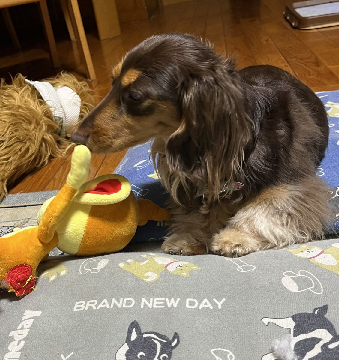 何か匂うのかな？🤣🤣🤣
挨拶なのかな？🥰🥰🥰