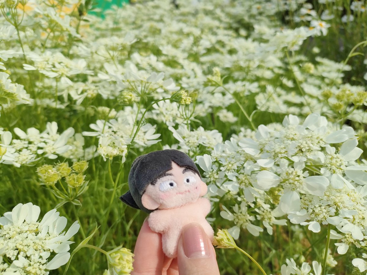 3mo1mo's tweet image. 日光浴 🌞