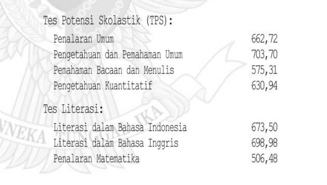 mimma ⭐ tweet media