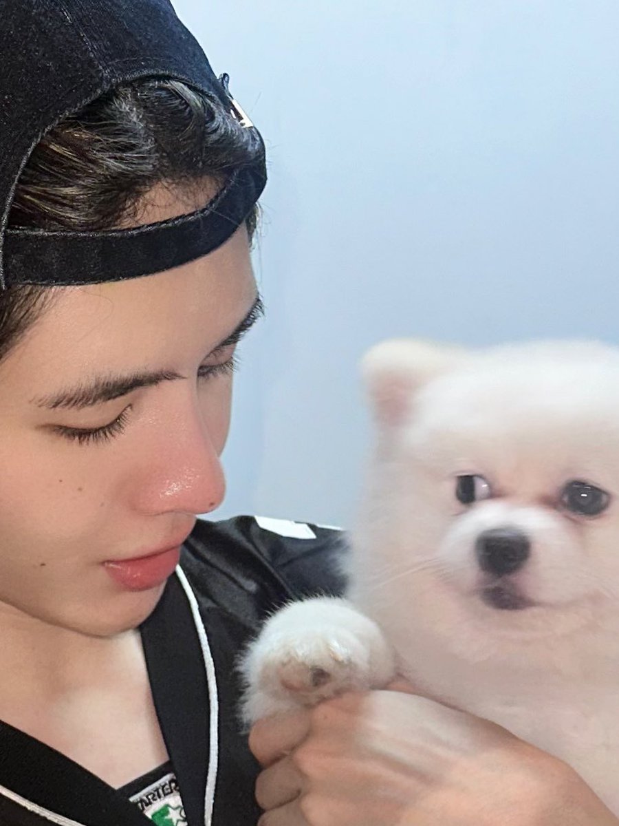 kerdomundi's tweet photo. ใครเห็นภาพนี้รบกวนไม่เลื่อนผ่านนะคะ เผื่อวิปครีมขอความช่วยเหลือค่ะ🐶 #JamesSu https://t.co/SmPUOegMT8