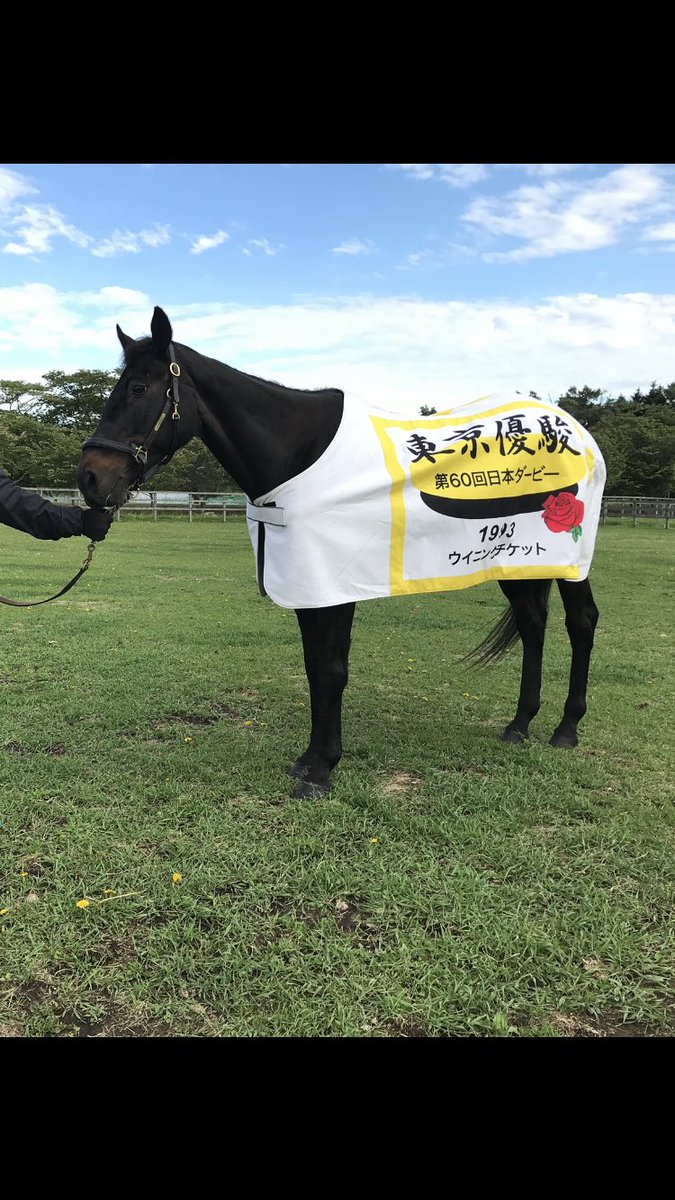 🏇1993年東京優駿勝利馬✨ ウイニングチケット 「チケゾーーーーッ