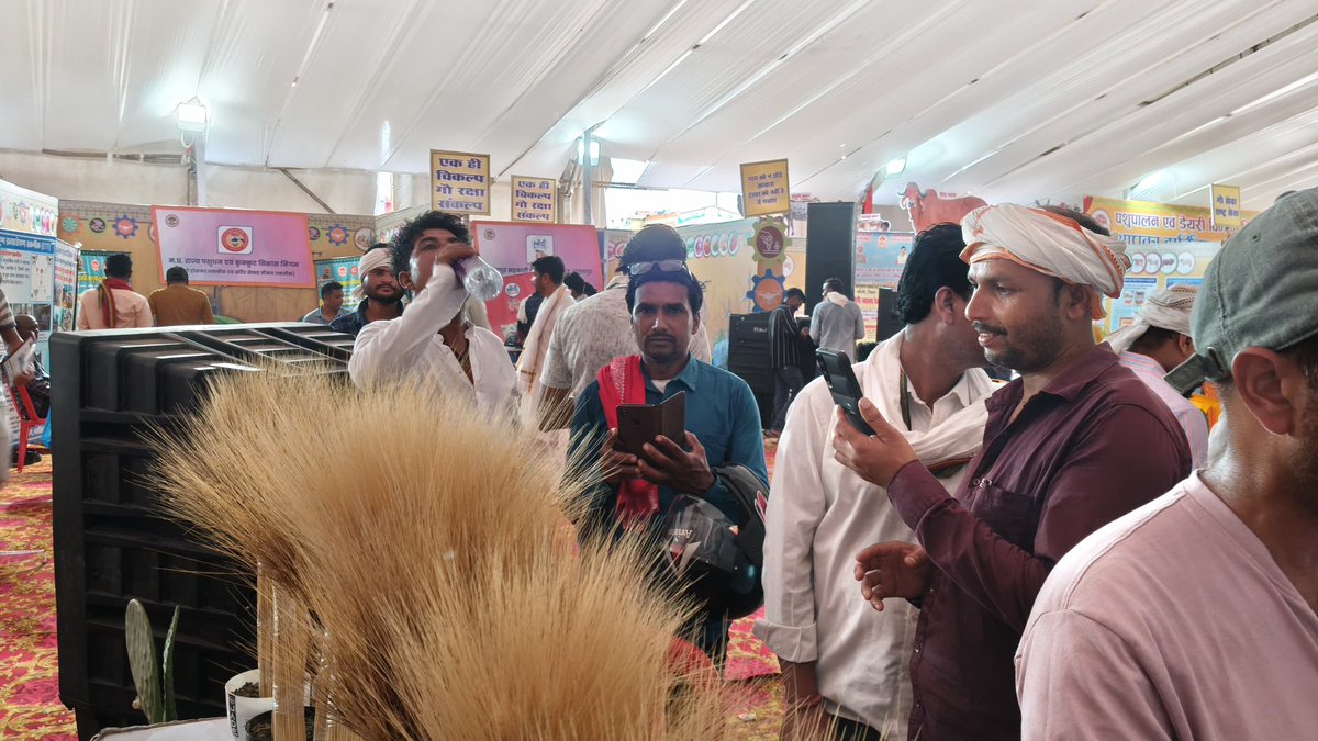 Amit Gautam (@amitdur) on Twitter photo Another Wonderful Krishi Udyog Samagam Day @Narshingpur demonstrating cutting-edge <a href="/ICARDA/">ICARDA</a> durum & Barley germplasm & Technology to Farmer and sakeholders <a href="/fillobax/">Filippo Bassi</a> <a href="/ShivKAgrawal/">Shiv Agrawal</a> <a href="/Miguel_ICARDA/">Miguel Sanchez-Garcia</a> <a href="/prahladspatel/">Prahlad Singh Patel ( рд╡реГрдХреНрд╖ рд╕реЗ рдЬрд▓, рдЬрд▓ рд╕реЗ рдЬреАрд╡рди)</a> <a href="/minmpkrishi/">Agriculture Department, MP</a> Another Wonderful Krishi Udyog Samagam Day @Narshingpur demonstrating cutting-edge <a href="/ICARDA/">ICARDA</a> durum & Barley germplasm & Technology to Farmer and sakeholders <a href="/fillobax/">Filippo Bassi</a> <a href="/ShivKAgrawal/">Shiv Agrawal</a> <a href="/Miguel_ICARDA/">Miguel Sanchez-Garcia</a> <a href="/prahladspatel/">Prahlad Singh Patel ( рд╡реГрдХреНрд╖ рд╕реЗ рдЬрд▓, рдЬрд▓ рд╕реЗ рдЬреАрд╡рди)</a> <a href="/minmpkrishi/">Agriculture Department, MP</a>