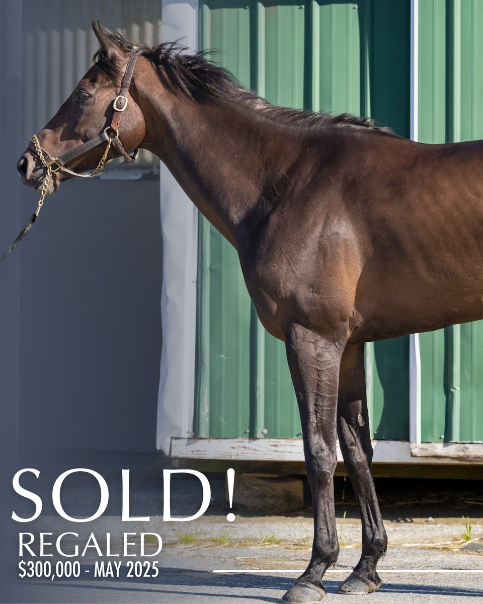 Inglis Digital USA (@inglisdigitalus) on Twitter photo SOLD! 🏷 Regaled sells in the May Inglis Digital USA Sale for $300,000 to <a href="/LegionBldstk/">Legion Bloodstock</a>.
Congratulations and best of luck to the new connections! 🏆
#InglisDigitalUSASold
<a href="/ParamountSales_/">Paramount Sales</a> SOLD! 🏷 Regaled sells in the May Inglis Digital USA Sale for $300,000 to <a href="/LegionBldstk/">Legion Bloodstock</a>.
Congratulations and best of luck to the new connections! 🏆
#InglisDigitalUSASold
<a href="/ParamountSales_/">Paramount Sales</a>
