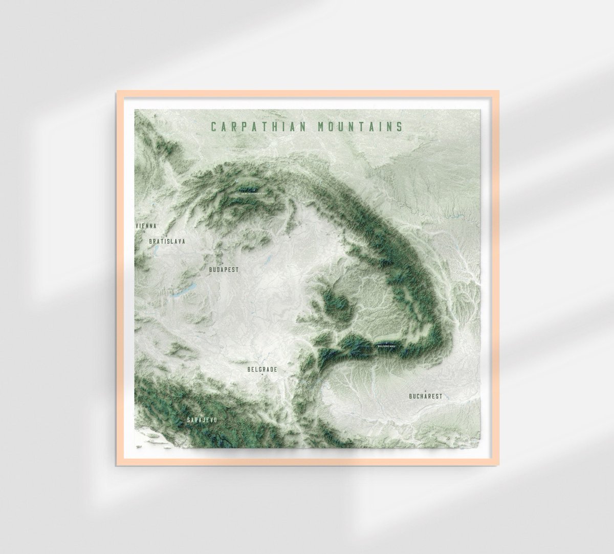 Patrycja Krajczyńska tweet media