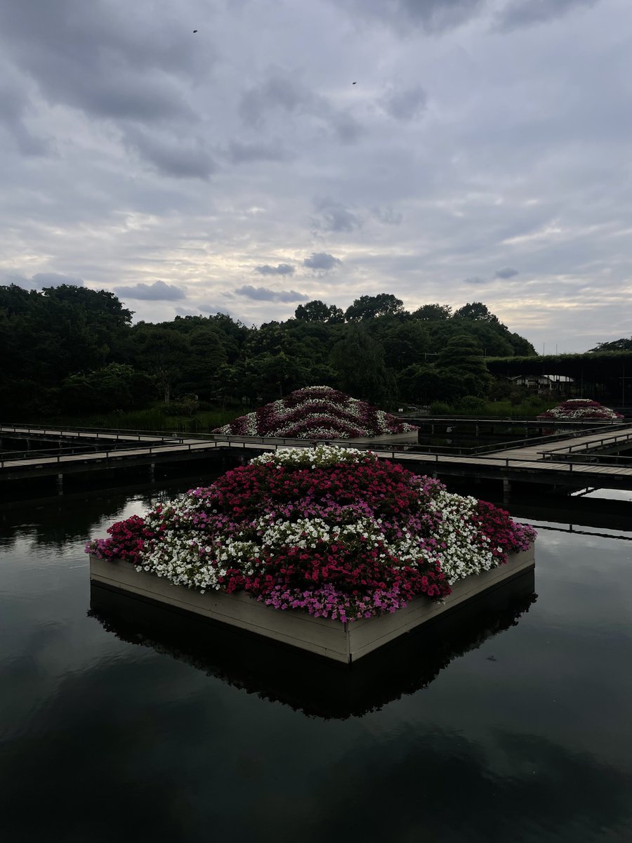 oɯ (@sofell_mo) on Twitter photo 