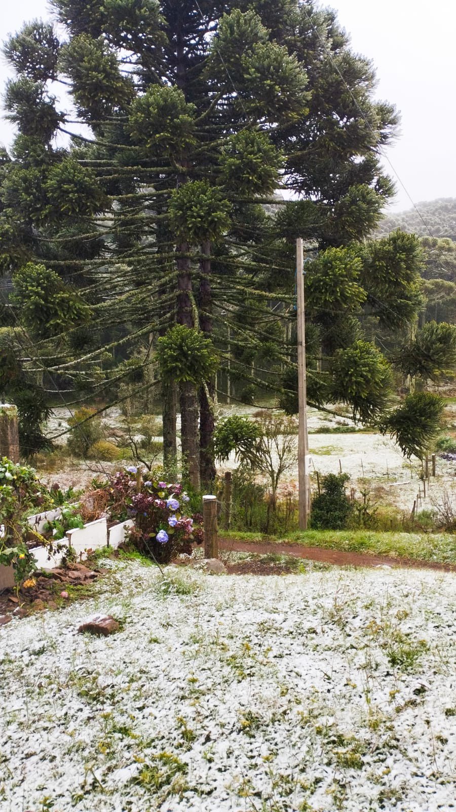 GsHjmZ-WcAAI7Hz?format=jpg&name=large