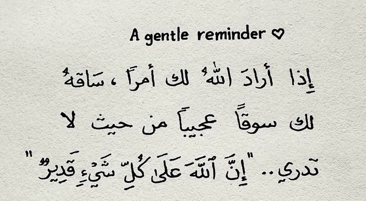 🌸 tweet media