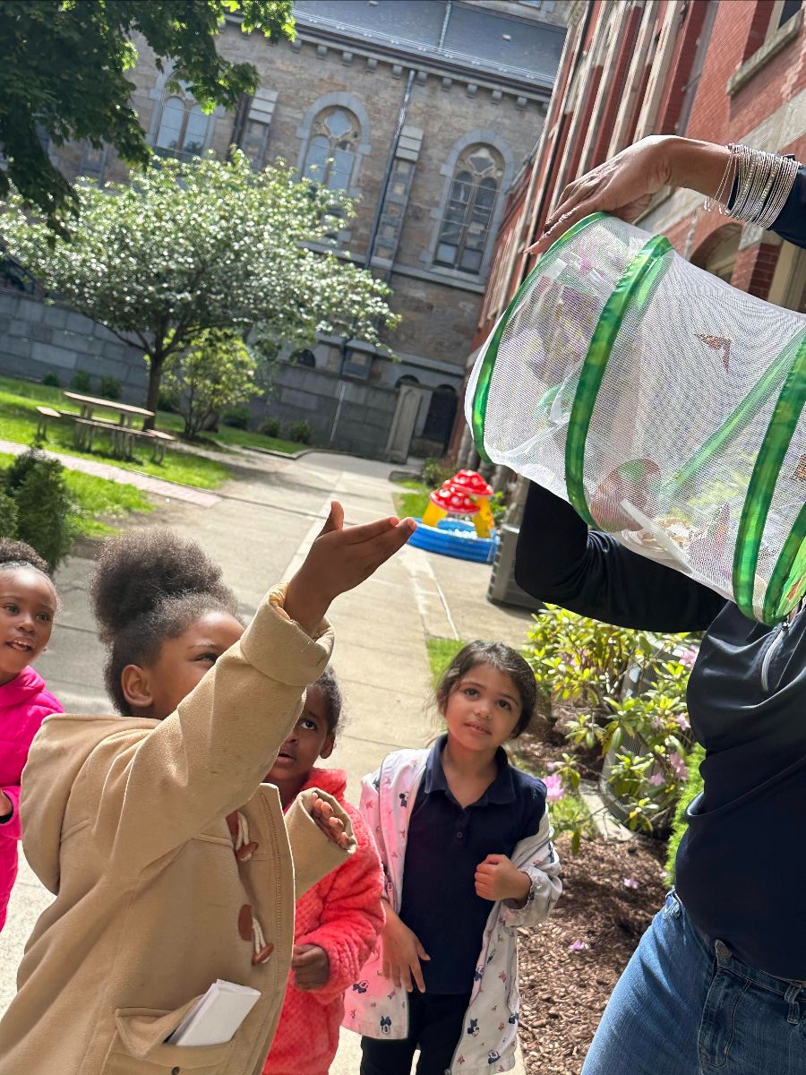 Mission Grammar Newsletter: May 2025🌟 - mailchi.mp/missiongrammar…