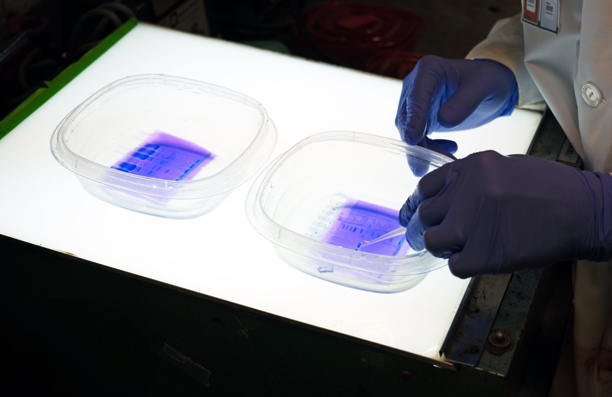 College of Biological Science (@uofgcbs) on Twitter photo 🫀A single gene mutation, two opposite heart diseases.
Dr. John Dawson’s team <a href="/UofG_MCB/">MCB at UofG</a> has discovered that mutations in the same position in the protein actin can lead to either thickening or thinning of the muscles of the heart.
#SCRIBE 🗞️uoguelph.ca/cbs/news/2025/… 🫀A single gene mutation, two opposite heart diseases.
Dr. John Dawson’s team <a href="/UofG_MCB/">MCB at UofG</a> has discovered that mutations in the same position in the protein actin can lead to either thickening or thinning of the muscles of the heart.
#SCRIBE 🗞️uoguelph.ca/cbs/news/2025/…
