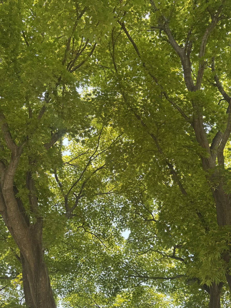 경주낭만