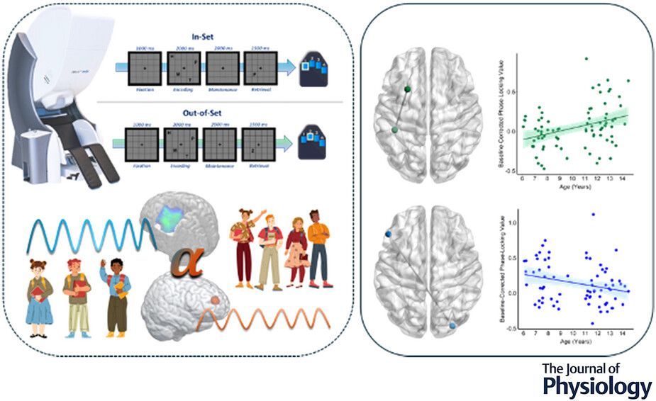 Journal of Physiology (@jphysiol) on Twitter photo This new study by Abraham D. Killanin (<a href="/BoysTown_IHN/">Institute for Human Neuroscience</a> <a href="/UNMCCOM/">UNMC College of Medicine</a>) et al. examines dynamic connectivity between developmentally sensitive regions serving verbal working #memory in children and adolescents 🧠 📈
📜 Read the #Research here: buff.ly/IdfKigu This new study by Abraham D. Killanin (<a href="/BoysTown_IHN/">Institute for Human Neuroscience</a> <a href="/UNMCCOM/">UNMC College of Medicine</a>) et al. examines dynamic connectivity between developmentally sensitive regions serving verbal working #memory in children and adolescents 🧠 📈
📜 Read the #Research here: buff.ly/IdfKigu