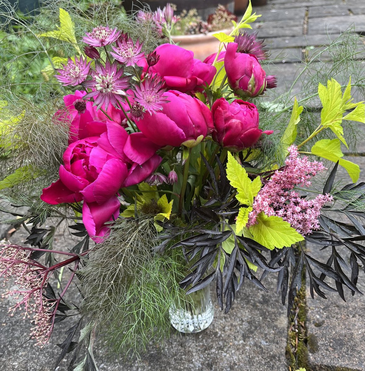 SarahTryon25's tweet photo. From my garden today, going to brighten up my neighbours house as a thank you for being so kind when I lost my beloved cat after 17 years. 💕 https://t.co/aWKpPdWEio
