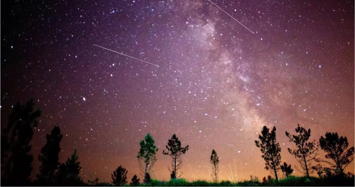 🌌 Cuando cae el sol, Madrid se llena de magia. Desde picnics nocturnos en la Dehesa de la Villa hasta observaciones de estrellas en la Sierra de Guadarrama.
👉 Los mejores planes en nuestro blog: vinossanz.com/escapadas-noct…