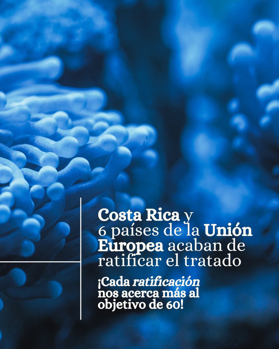 🌊 ¡Buenas noticias para el océano!
El Tratado de Alta Mar sigue avanzando hacia su entrada en vigor.
🇨🇷 Costa Rica ha ratificado el tratado.
🇪🇺 Además, 6 países de la Unión Europea se sumaron recientemente.
¡Cada paso nos acerca a las 60 ratificaciones necesarias!