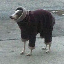 te cago amando frio, gracias por volver
q la chupen los q les gusta el calor