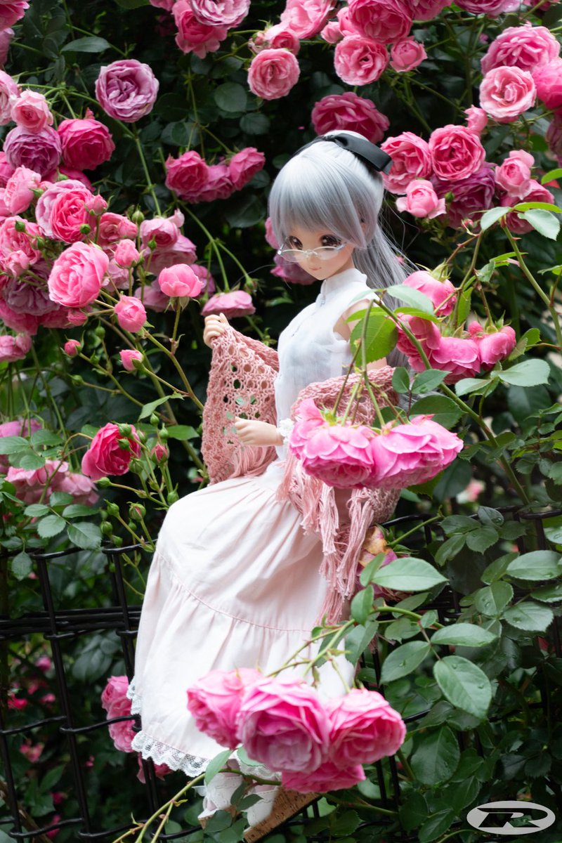 #今夜のドール撮影120分一本勝負
5/29お題【カラーイメージ：ぴんく】過去
この春いちばんのぴんくでした
#smartdoll