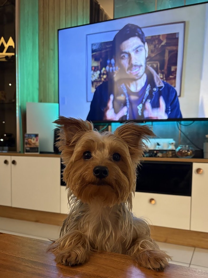 Priyanka Sharma (@lassiecoder) on Twitter photo Mohak Mangal: Explaining billion-dollar scams.
My furry CFO: Plotting a snack heist. 🐾📷
#BossMode <a href="/mohakmangal/">Mohak Mangal</a> Mohak Mangal: Explaining billion-dollar scams.
My furry CFO: Plotting a snack heist. 🐾📷
#BossMode <a href="/mohakmangal/">Mohak Mangal</a>
