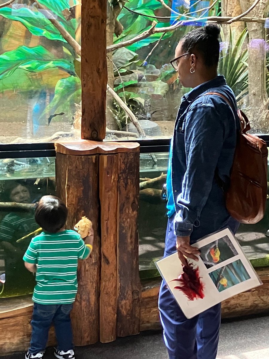 HopeHealthCo's tweet image. What an unforgettable spring day at Buttonwood Zoo! 🌸 23 PediPal families connected through rides, animal encounters, and smiles galore! 🐾💙 #PediPal #SpringEvent