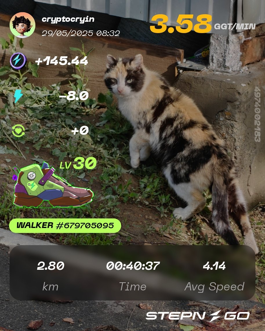 #STEPN #STEPNGO $GGT $GMT