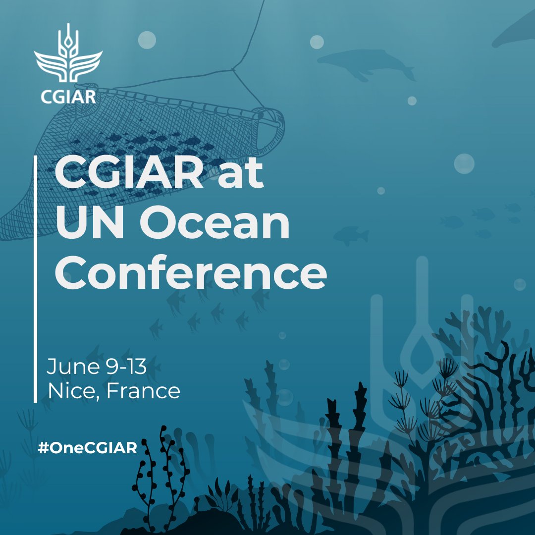CGIAR (@cgiar) on Twitter photo 🌊 Our oceans sustain life and regulate our climate.
At #UNOC2025, <a href="/WorldFishCenter/">WorldFish</a> and CGIAR support bold action to protect marine ecosystems and ensure food security for generations to come.
🔗 Learn more: on.cgiar.org/4kfpPck
<a href="/SustDev/">UN DESA Sustainable Development</a> <a href="/UN/">United Nations</a> #SaveOurOcean 🌊 Our oceans sustain life and regulate our climate.
At #UNOC2025, <a href="/WorldFishCenter/">WorldFish</a> and CGIAR support bold action to protect marine ecosystems and ensure food security for generations to come.
🔗 Learn more: on.cgiar.org/4kfpPck
<a href="/SustDev/">UN DESA Sustainable Development</a> <a href="/UN/">United Nations</a> #SaveOurOcean