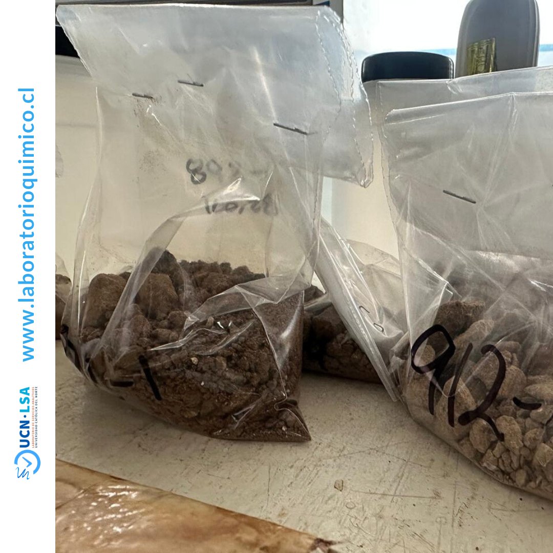 UcnLsa's tweet image. ☑️☑️ Determinación de Magnesio en muestras de suelos

laboratorioquimico.cl

#LaboratorioQuímico #ControlCalidad #Análisisquímico #calidadsuelos #MineralesSuelos #AnálisisMagnesio #EstudioSuelos #MagnesioSuelos #MagnesioMuestras #MediciónMagnesio #SuelosFértiles