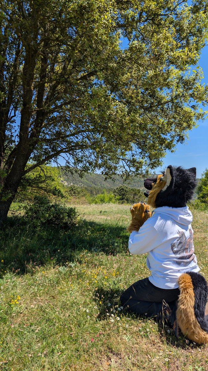 Thy gods shalt be just for all innocent souls. ❤️